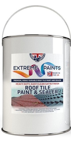Roof tile paint - roof,